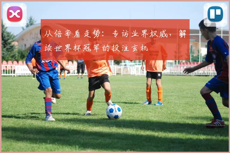 从倍率看走势：专访业界权威，解读世界杯冠军的投注玄机