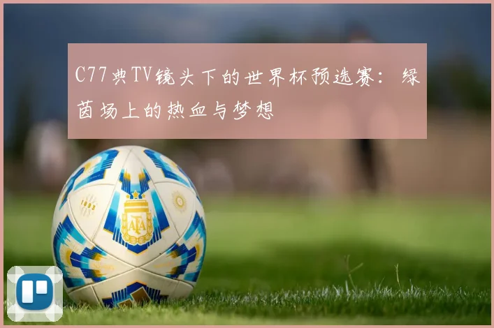 C77典TV镜头下的世界杯预选赛：绿茵场上的热血与梦想